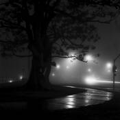 Untitled_6