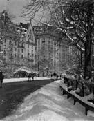 The_dakota