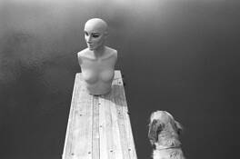 Mannequin_dog_lake