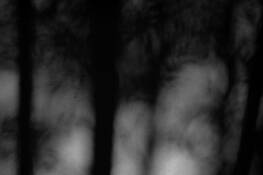 Presence_in_between_01
