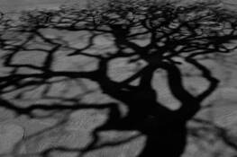 Presence_in_between_02