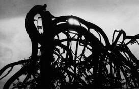 Bicyclist