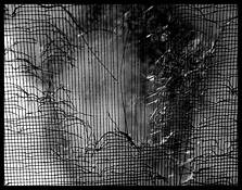 Screen_test