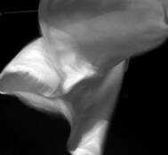 Blowing_linen_01