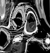 The_eyes
