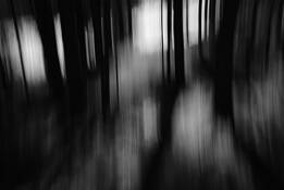 Untitled_1