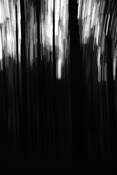 Untitled_3