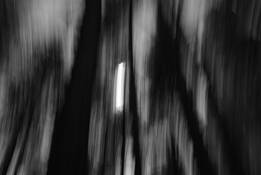 Untitled_4