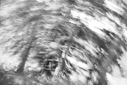 Untitled_8