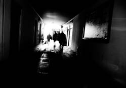 Seeing_your_shadow_10