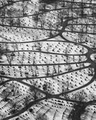 Graveyard_maze