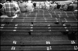 Spectators
