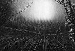 Sprinkler_in_the_orchard