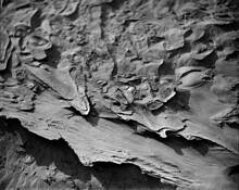 Desert_texture__6