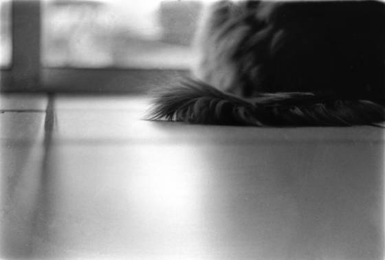 Untitled_7