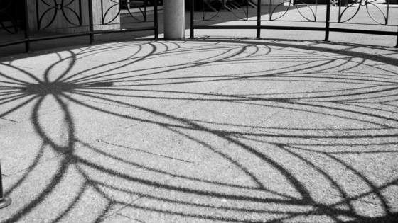 Shadow_flower