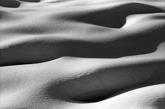 Snowdrift_1
