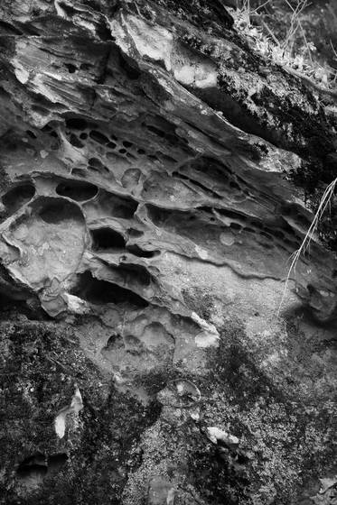 Untitled_9