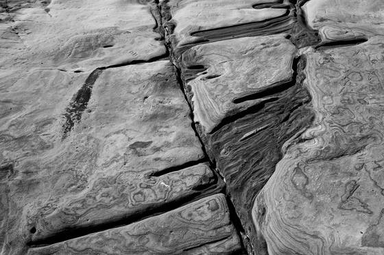 Untitled_1