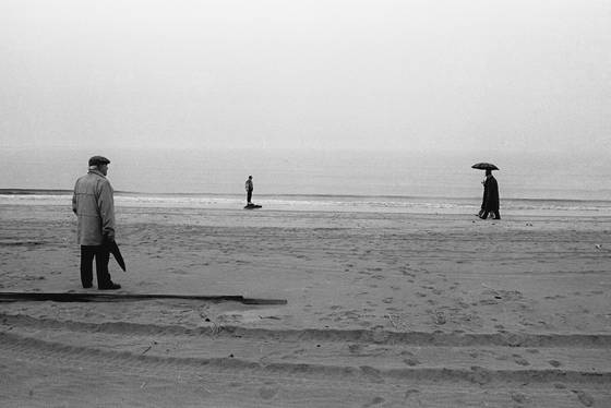 Strangers_by_the_sea