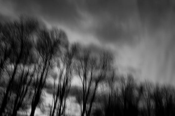 Untitled_11