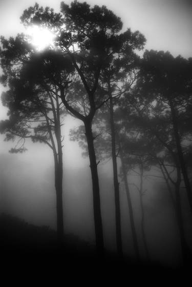 Untilted_2