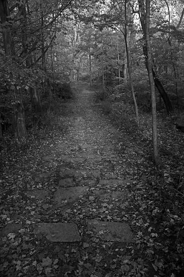 Stone_road