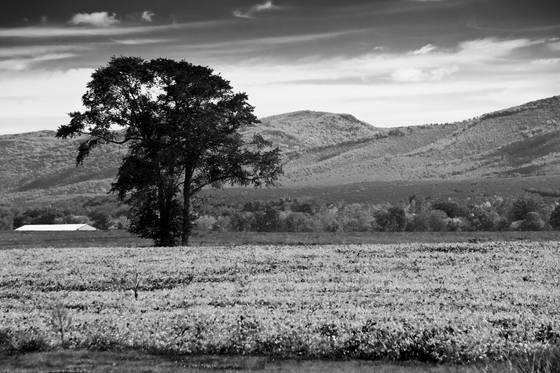 Untitled_6