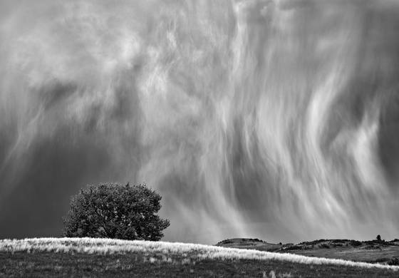 Untitled_01c