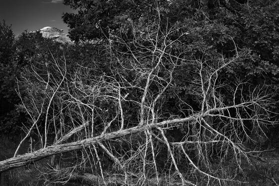Untitled_02