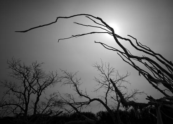 Untitled_02b