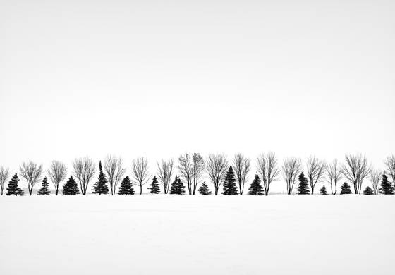 Untitled_02c