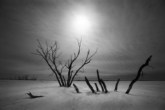 Untitled_04b
