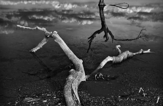 Untitled_07b
