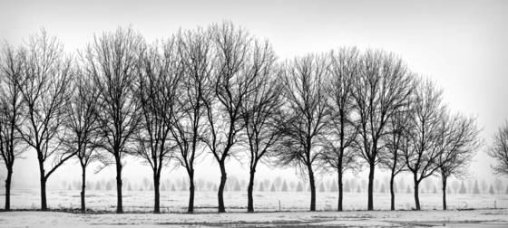 Untitled_09c