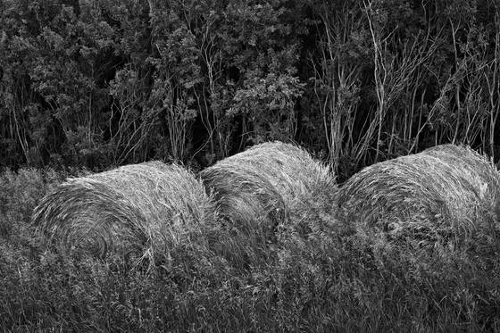 Untitled_10c
