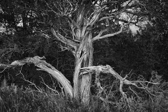 Untitled_11