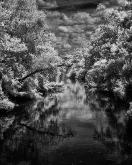 Bayou_teche_from_poche_bridge