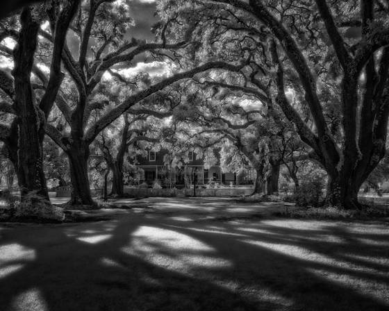 Oakland_plantation_house