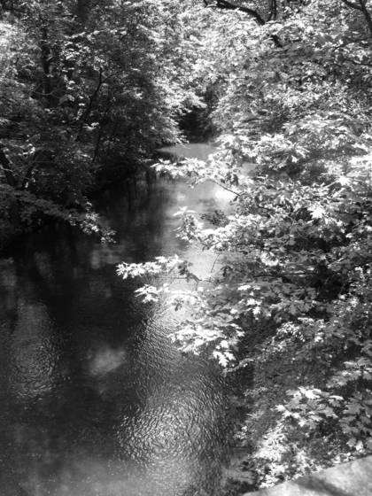 Bronx_river