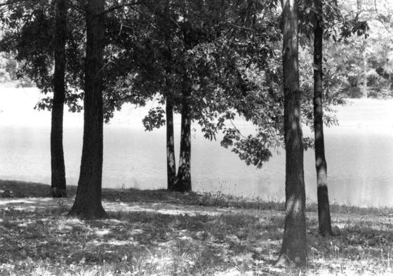 Spanish_lake_park