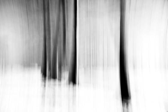 Winter_dance_3
