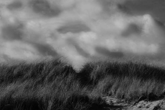 Cape_cod_morning
