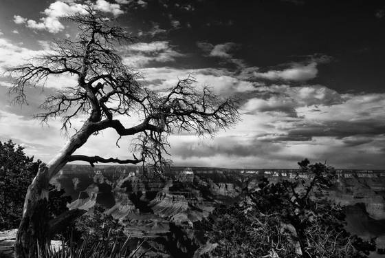 Creepy_grand_canyon