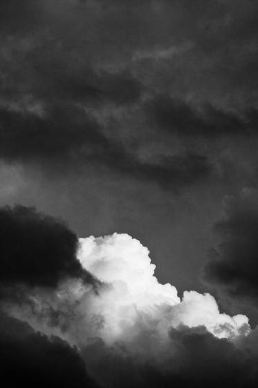 Untitled_7