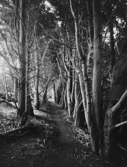 Gateless_gate__7