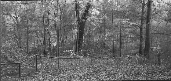 Running_fence