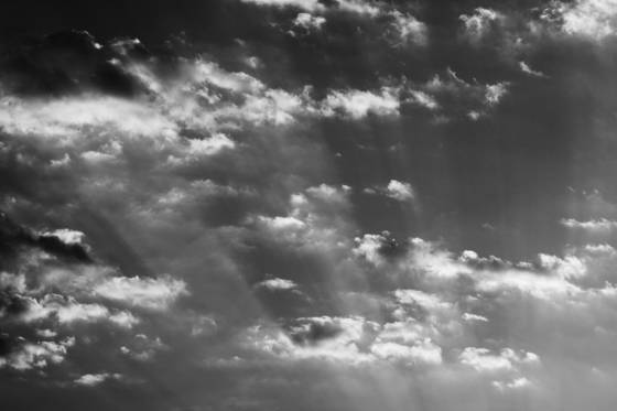 Untitled_1
