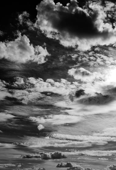 Untitled_8