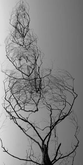 Mirror_three